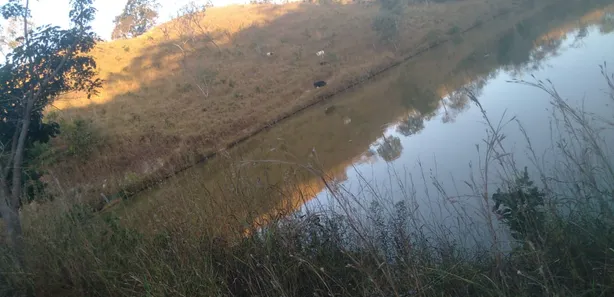 Fazenda/Sítio à venda, 150m² no Centro, Padre Bernardo