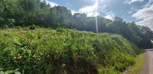 Lote/Terreno à venda, 30m² no Pinhal Alto, Nova Petrópolis