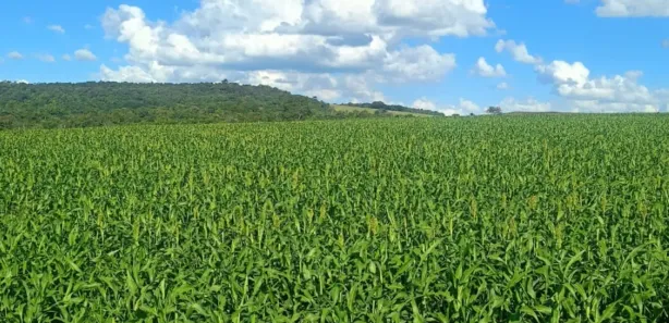 Fazenda/Sítio à venda, 1m² no Zona Rural, Gameleira de Goiás