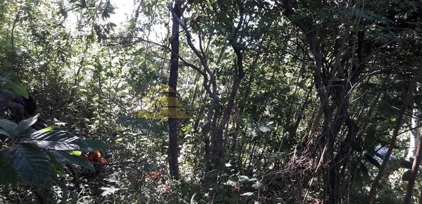 Lote/Terreno à venda, 604m² no Jardim Botânico, Rio de Janeiro