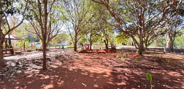Fazenda/Sítio com 3 Quartos à venda, 210m² no Setor Central, Nova Veneza