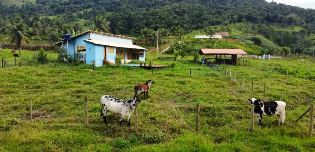 Fazenda/Sítio com 3 Quartos à venda, 8300m² no Comunidade Urbana de Jaboti, Guarapari