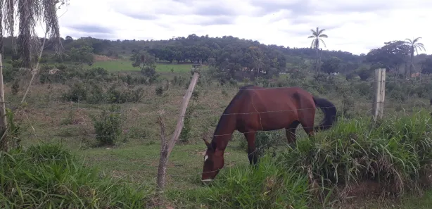 Lote/Terreno à venda, 20000m² no , Paraopeba