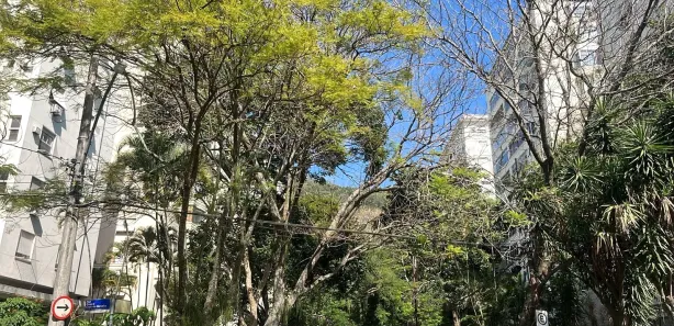 Apartamento com 2 Quartos para alugar, 110m² no Laranjeiras, Rio de Janeiro