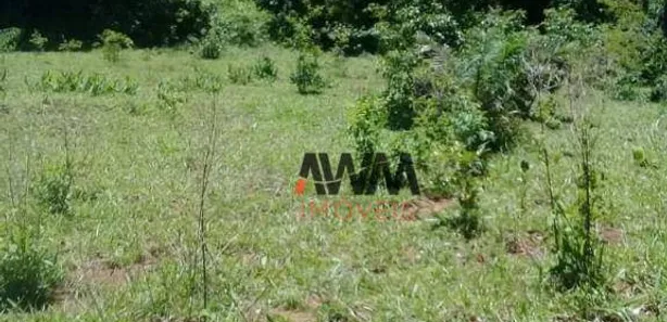 Fazenda/Sítio à venda, 8179600m² no , 