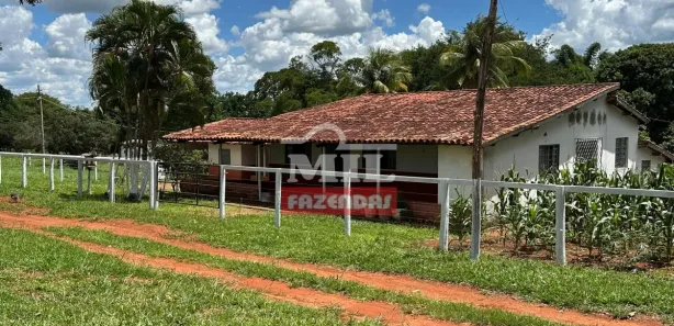 Fazenda/Sítio à venda, 20000m² no , Terezópolis de Goiás