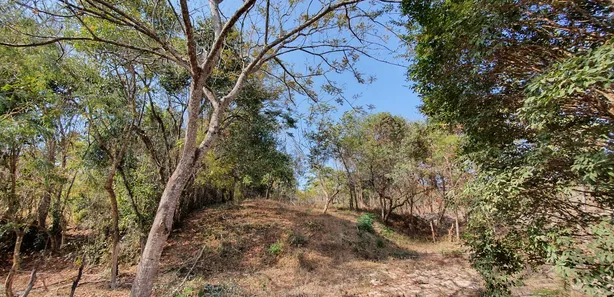 Lote/Terreno à venda, 20000m² no Zona Rural, Fortuna de Minas