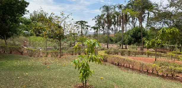 Fazenda/Sítio com 4 Quartos à venda, 270000000m² no Distrito Agroindustrial de Inhumas, Inhumas