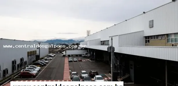 Galpão/Depósito/Armazém para alugar, 5000m² no Parque das Indústrias, Betim