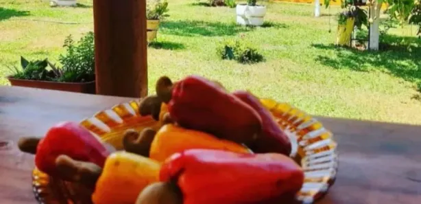 Imagem do imóvel