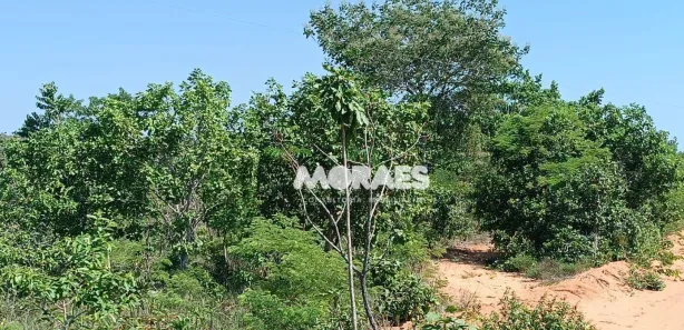 Fazenda/Sítio à venda, 18923500m² no , Recursolândia