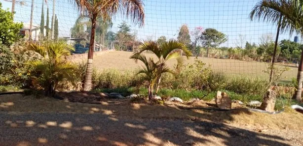 Fazenda/Sítio com 6 Quartos à venda, 50000m² no Brazlândia, Brasília