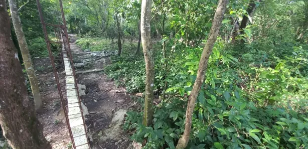Lote/Terreno à venda, 1000m² no Dom Pedro I, Manaus