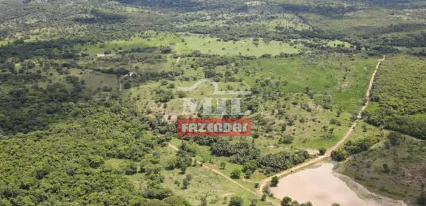 Fazenda/Sítio com 4 Quartos à venda, 500m² no , Goiás