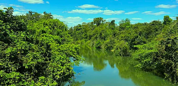 Fazenda/Sítio com 4 Quartos à venda, 145200m² no , Goiás