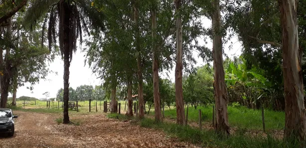 Fazenda/Sítio à venda, 20000m² no , Araçaí
