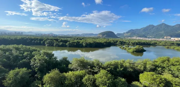 Apartamento com 2 Quartos para venda ou aluguel, 74m² no Barra da Tijuca, Rio de Janeiro