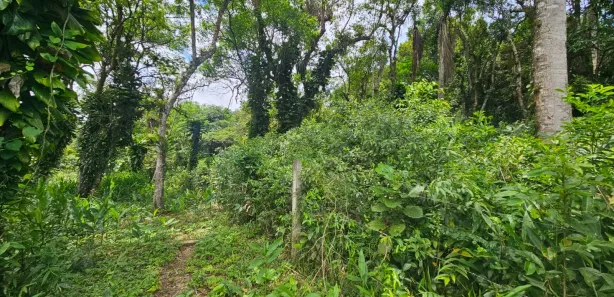 Lote/Terreno à venda, 2400m² no Antonina, Antonina