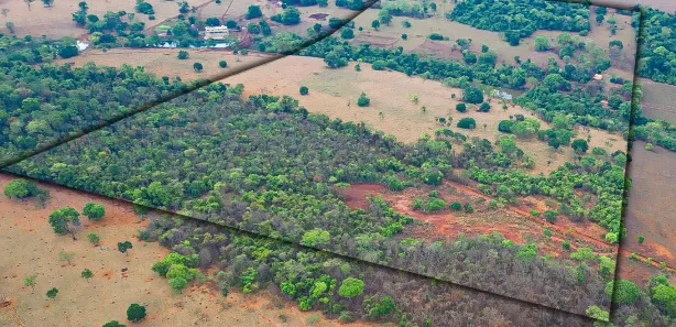 Fazenda/Sítio com 2 Quartos à venda, 436m² no Área Rural, Goianira