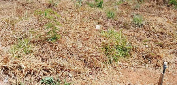 Lote/Terreno à venda, 300m² no Setor Habitacional Jardim Botânico, Brasília