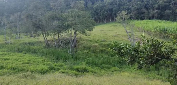Fazenda/Sítio com 4 Quartos à venda, 62016m² no , Brumadinho