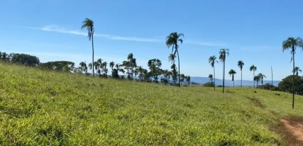 Fazenda/Sítio com 4 Quartos à venda, 2420000m² no Vila Santa Terezinha, Inhumas