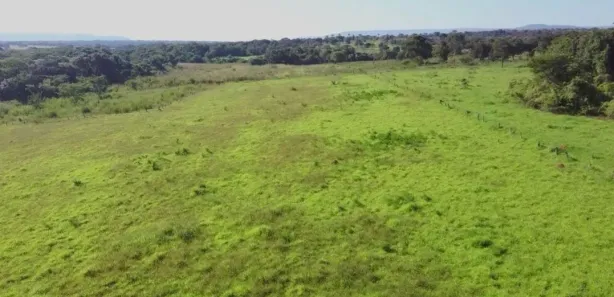 Fazenda/Sítio com 3 Quartos à venda, 162500m² no , Buritis