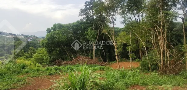 Lote/Terreno à venda, 600m² no Travessão, Dois Irmãos