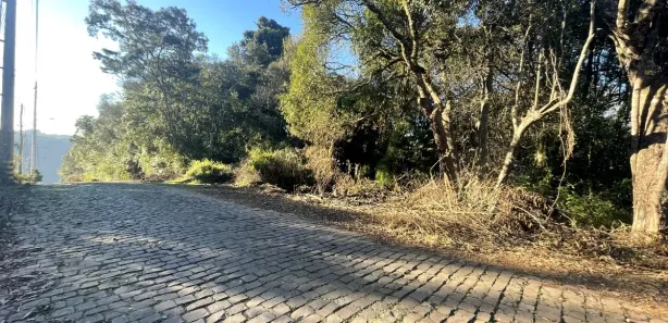 Lote/Terreno à venda, 3846m² no Cruzeiro, Caxias do Sul