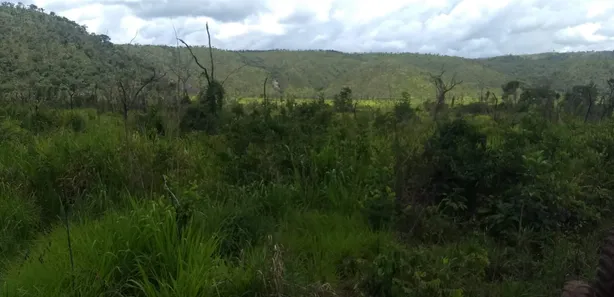 Fazenda/Sítio com 1 Quarto à venda, 484000000m² no , Babaçulândia