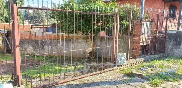 Galpão/Depósito/Armazém para alugar, 122m² no Interlagos, Caxias do Sul