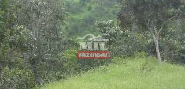 Fazenda/Sítio à venda, 185m² no , Jaraguá