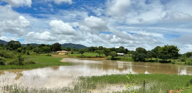 Fazenda/Sítio com 5 Quartos à venda, 37m² no , Goiás