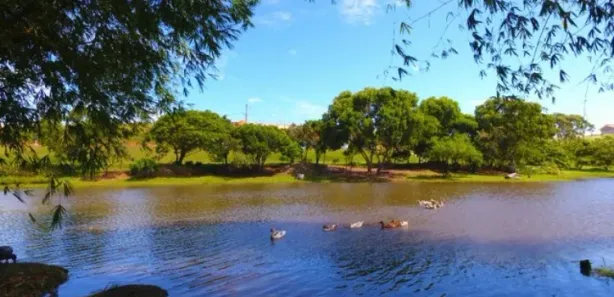 Lote/Terreno à venda, 650m² no Santa Paula I, Vila Velha