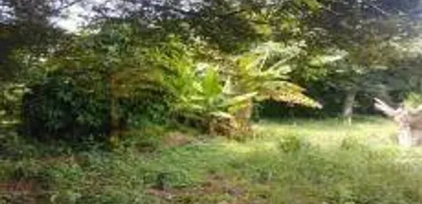 Lote/Terreno à venda, 475m² no Centro, São Manuel