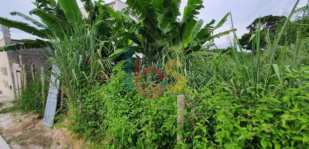 Lote/Terreno à venda, 488m² no Mundai, 