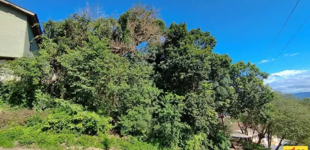 Lote/Terreno à venda, 774m² no Nova Petrópolis, Nova Petrópolis