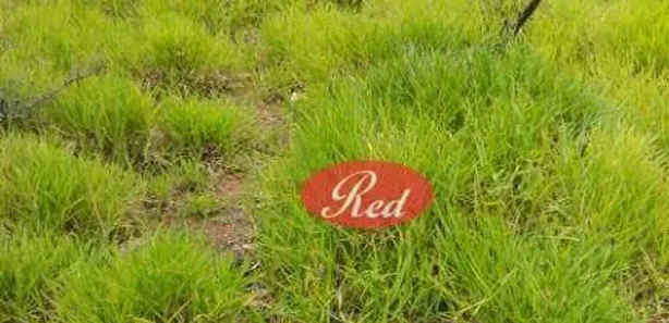 Lote/Terreno à venda, 607m² no Vila Amélia, Poá