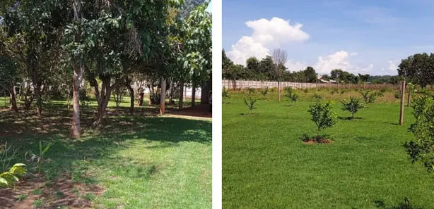 Fazenda/Sítio com 2 Quartos à venda, 16283m² no Luzimangues, Porto Nacional