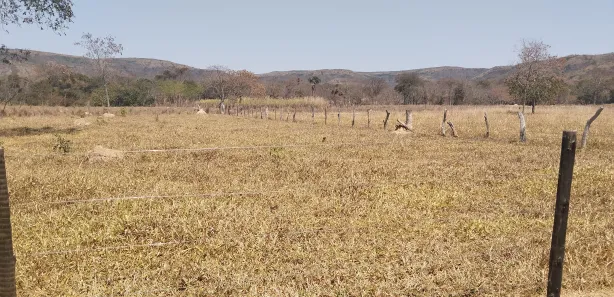 Fazenda/Sítio à venda no , Buritis