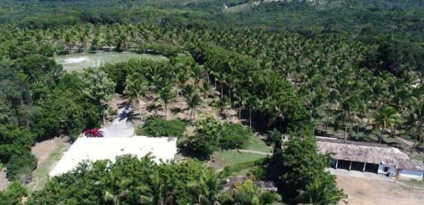 Fazenda/Sítio à venda, 685000m² no Sauípe, 