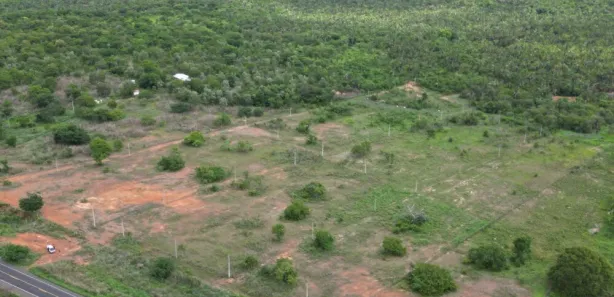 Lote/Terreno à venda, 25000m² no , Lagoa do Piauí