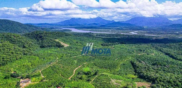 Fazenda/Sítio com 3 Quartos à venda, 600m² no Antonina, Antonina