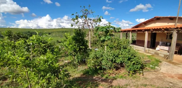 Fazenda/Sítio com 2 Quartos à venda, 5000m² no , Abadiânia