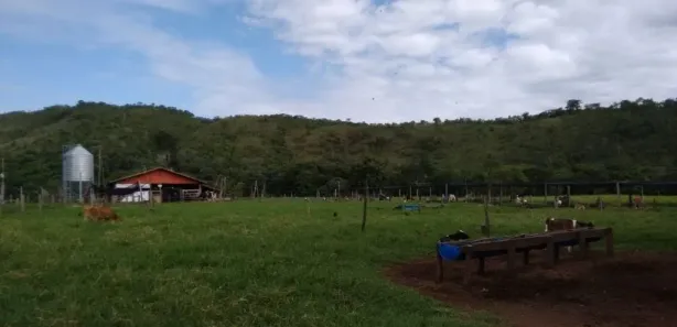 Fazenda/Sítio com 4 Quartos à venda, 1137400m² no , 