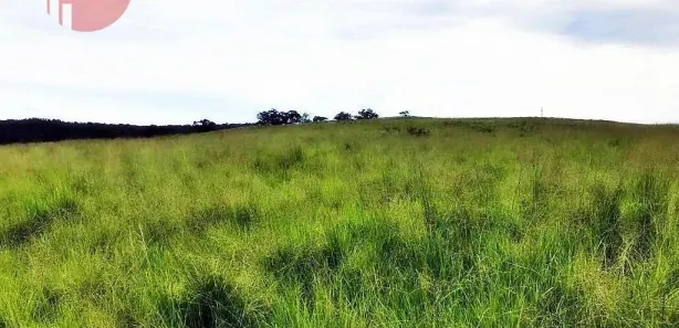 Fazenda/Sítio com 2 Quartos à venda, 15800000m² no Setor Central, Pedro Afonso