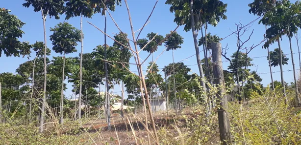 Lote/Terreno à venda, 20000m² no , Paraopeba