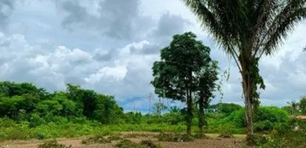 Lote/Terreno à venda no , Rio Preto da Eva
