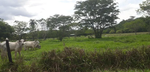 Lote/Terreno à venda, 20000m² no , Araçaí