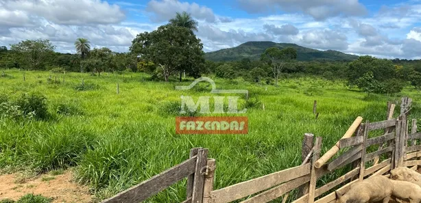 Fazenda/Sítio à venda, 249m² no , Buritis